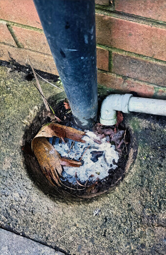 https://plumberapplecross.com.au/uploads/2025/06/blocked-drains-294506.jpg