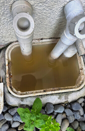 https://plumberapplecross.com.au/uploads/2025/06/blocked-drains-912576.jpg